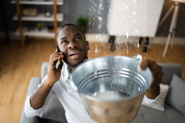  Rochelle, GA Water damage restoration Pros