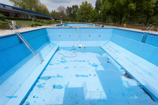 Best Professional water damage repair  in Rochelle, GA
