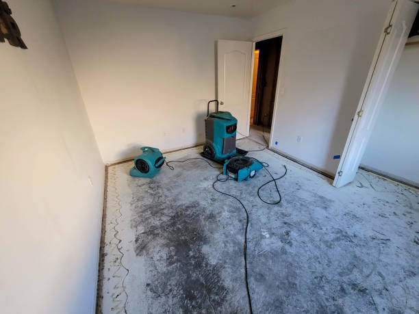 Best Water damage restoration near me  in Rochelle, GA