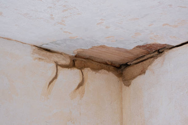 Best Commercial water damage restoration  in Rochelle, GA