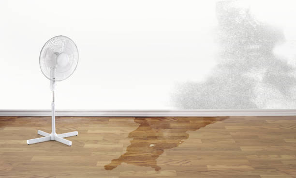Best Fire Damage Restoration  in Rochelle, GA
