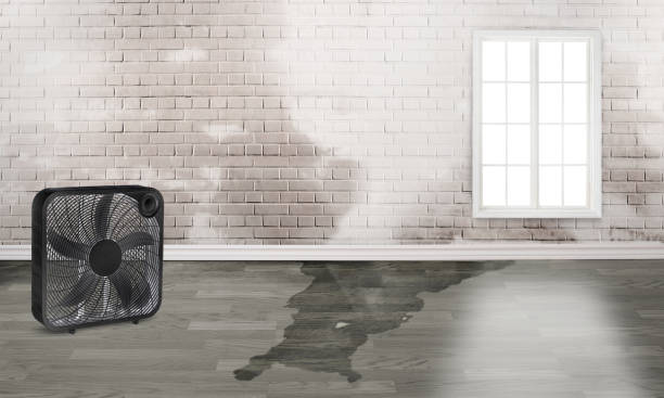 Professional Water damage restoration in Rochelle, GA