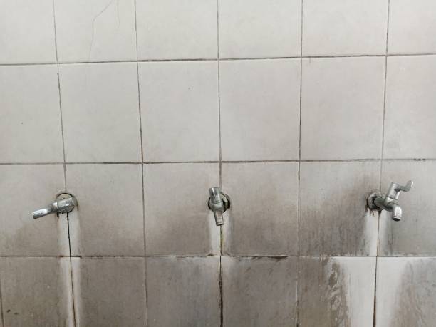 Best Sewage cleanup and water damage restoration  in Rochelle, GA