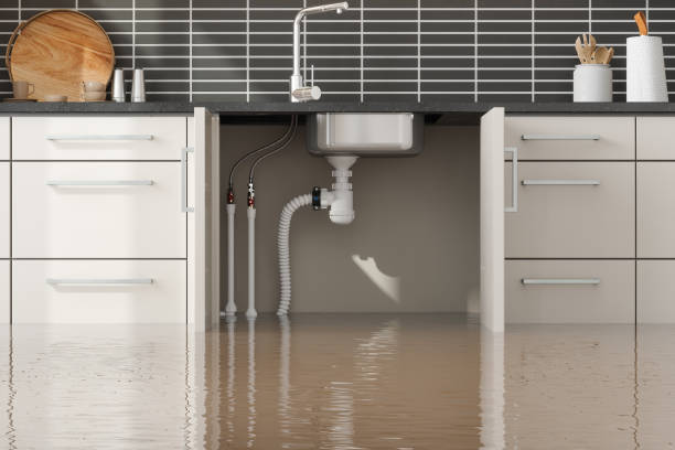 Best Flood damage cleanup  in Rochelle, GA
