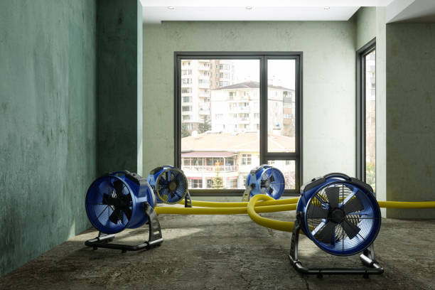 Best Professional water damage repair  in Rochelle, GA