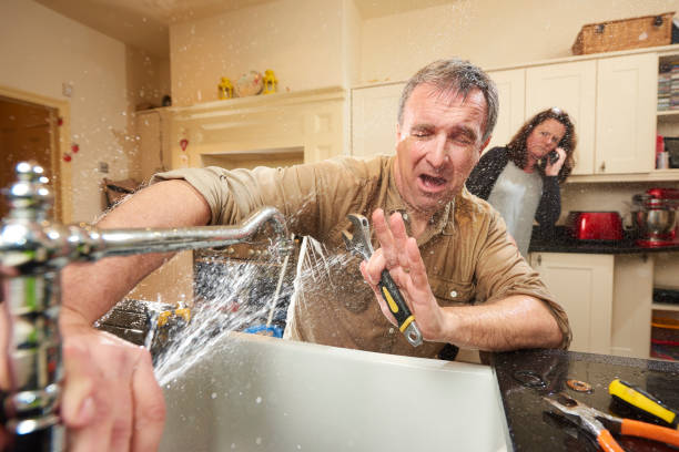 Best Flooded house restoration  in Rochelle, GA